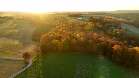 Aerial-of-forest-woodland-and-agriculture-fields-at-golden-hour-light
