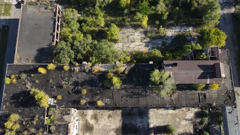 Trees-growing-of-rooftop-of-abandoned-Packard-Plant-in-Detroit,-aerial-view