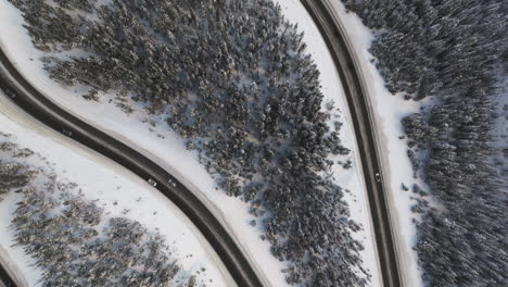 Aerail-top-down-shot-of-snow-covered-trees-and-winding-roads-in-the-Colorado-Rocky-Mountains