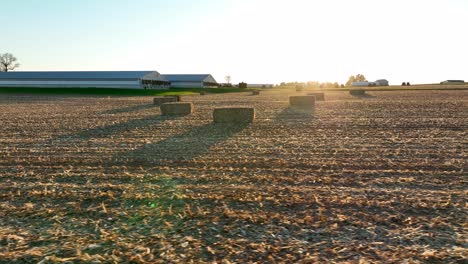 Large-bales-of-corn-fodder-after-corn-field-harvest
