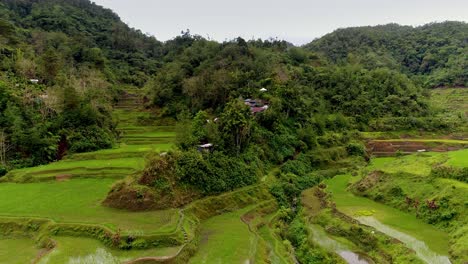Rice-paddy-fields-carved-inbetween-the-Phillippine-hills-and-mountains-with-houses-and-huts-amongst-green-lush-forest-trees
