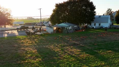 Amish-produce-stand-and-pumpkin-field