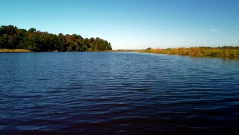 Peces-Saltando-De-Un-Lago-De-Plantaciones-De-Carolina-Del-Sur