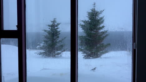Flock-of-birds-feeding-in-snowstorm,-view-through-window