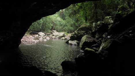 Vista-De-La-Selva-Tropical-Desde-El-Interior-De-La-Cueva-Del-Puente-Natural,-Parque-Nacional-Springbrook,-Interior-De-La-Costa-Dorada,-Australia