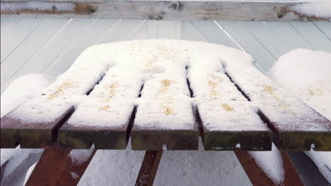 Closeup-at-birds-eating-seeds-from-wooden-table,-covered-in-snow