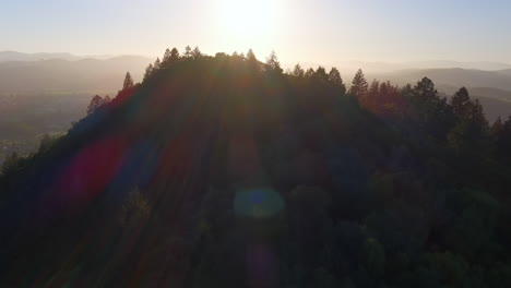 Wild-forest-landscape-in-California,-drone-flying-up-the-hill