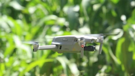 Farmer-farming,-smart-agriculture,-cereal-farming,-tablet,-drone-technology,-smart-agriculture-precision-farming