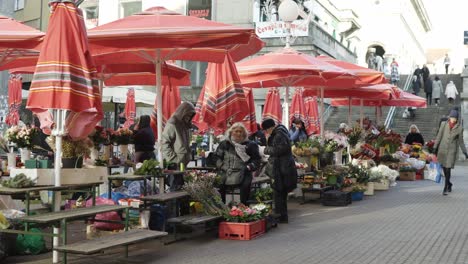 Flower-part-of-the-public-market-on-the-Jelačića-Square-in-Zagreb,-Croatia