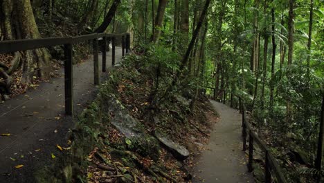 Sendero-Para-Caminar-En-El-Puente-Natural,-Parque-Nacional-Springbrook,-Interior-De-La-Costa-Dorada,-Australia
