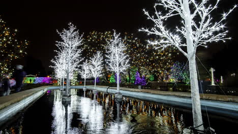 Zeitraffer-Der-Weihnachtsbeleuchtung-In-Den-Hudson-Gardens-Und-Im-Veranstaltungszentrum-In-Colorado