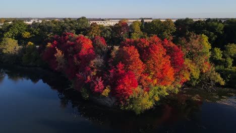 Drone-Over-Red-Trees-Fall-Colors-Lake-in-Michigan