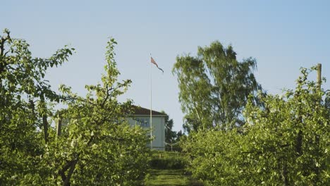 View-Looking-Along-RowOf-Apple-Trees-At-Orchard-Located-In-Lier,-Norway-With-Large-Flag-Pole-In-Background