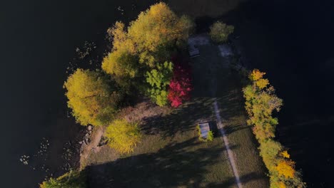 árboles-De-Color-De-Otoño-Sobre-El-Lago-En-Michigan