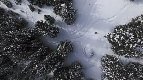 Aerail-top-down-shot-of-snow-covered-trees-in-the-Colorado-Rocky-Mountains