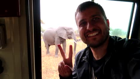 Young-man-in-a-car-interior-on-a-safari-smiling-into-the-camera-showing-peace-sign-in-front-of-an-African-elephant