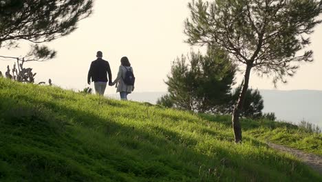 Slow-Motion-Shot-Of-Man-And-Woman-Holding-Hands-Walking-In-Peaceful-Green-Nature