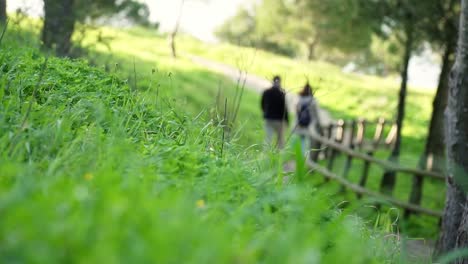 Couple-Walking-Together-In-Beautiful-Quiet-Park-In-Nature,-Medina,-Spain