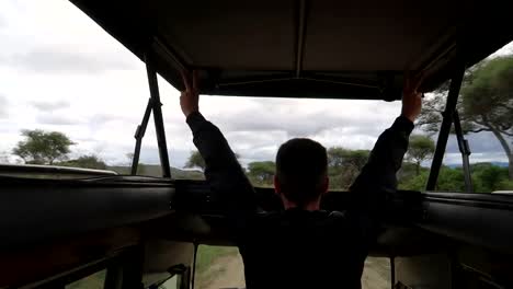 Young-man-rising-up-arms-inside-moving-Safari-car,-enjoying-honeymoon-trip