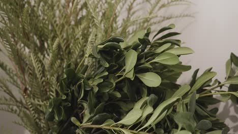 Greenery-in-prep-for-Valentine's-day-bouquet