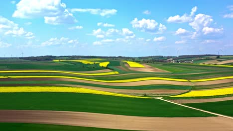 Panoramic-Landscape-View-Of-Canola-Fields-With-Windmills-On-A-Sunny-Day