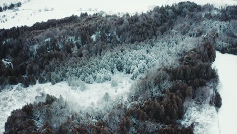 Fliegen-über-Schöne-Schneebedeckte-Winterwaldlandschaft