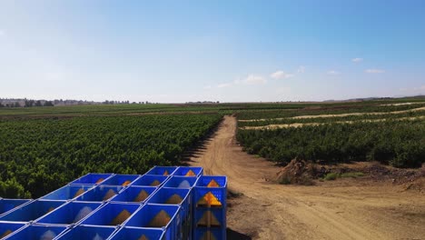 Low-level-drone-flyover-view-of-apple-tree-farm-and-packing-crates,-Israel