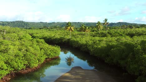 Drone-flying-over-tropical-river-with-sand-bank-and-dense-forest-and-bushes