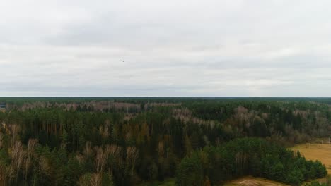Mi-24-helicopter-flying-above-woodlands-of-Ukraine,-aerial-view