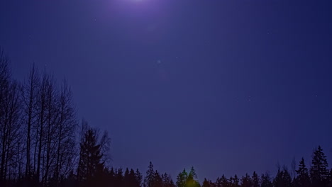 Time-lapse-of-the-night-sky-and-a-full-moon-moving-above-a-forest-at-night