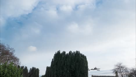 Lapso-De-Tiempo-De-Una-Capa-De-Nubes-En-Movimiento-Rápido-Hacia-La-Izquierda-Que-También-Muestra-Algunas-Copas-De-Los-árboles,-Thetford,-Norfolk,-Inglaterra