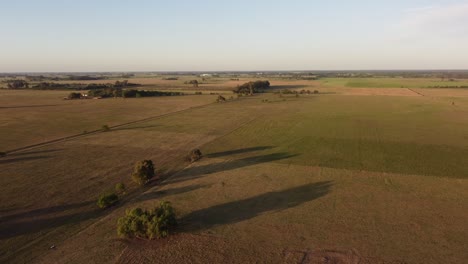 Aerial-panoramic-shot-of-agricultural-fields-in-Buenos-Aires-during-golden-sunset
