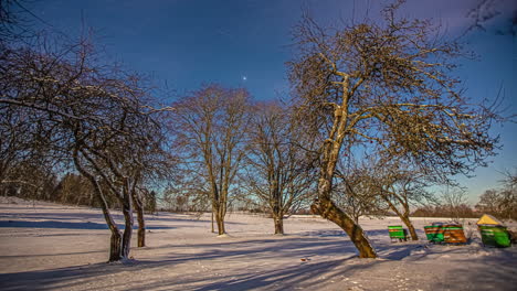 Orchard-in-winter-season-and-starry-Milky-Way-sky,-fusion-time-lapse