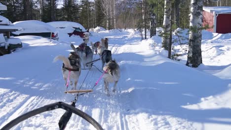 Zeitlupenansicht-Eines-Husky-gezogenen-Schlittens-Auf-Einer-Schneebedeckten-Straße-In-Schweden