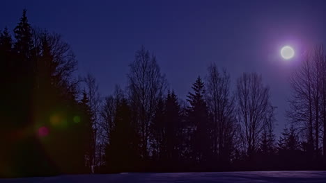 Awesome-time-lapse-shot-of-the-full-moon-moving-in-the-night-sky-behind-the-silhouettes-of-trees-in-the-forest