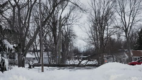footage-of-the-snow-covered-road-and-a-fallen-tree-during-the-blizzard-in-Buffalo,-New-York