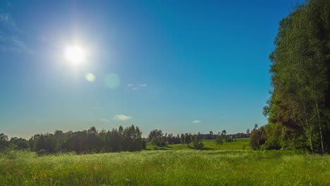 Awesome-time-lapse-of-a-summer-day-in-the-forest-with-a-sun-setting-in-the-end
