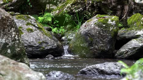 trickling-stream-between-mossy-boulders