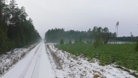 Establishing-aerial-footage-of-trees-covered-with-light-snow,-Nordic-woodland-pine-tree-forest,-foggy-overcast-winter-day,-mist-rising,-low-clouds-moving,-wide-drone-shot-moving-forward-low