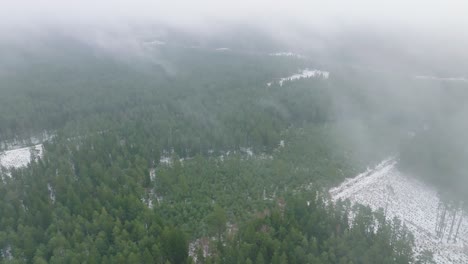 Establishing-aerial-birdseye-footage-of-trees-covered-with-light-snow,-Nordic-woodland-pine-tree-forest,-foggy-overcast-winter-day,-mist-rising,-low-clouds-moving,-wide-drone-shot-moving-forward-high