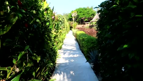 POV-shot-along-a-walkway-surrounded-by-greenery-leading-to-the-individual-villas
