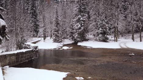 Relaxing-snow-covered-Niebieskie-Źródła-Polish-blue-springs-stream-and-surrounding-woodland-nature-reserve