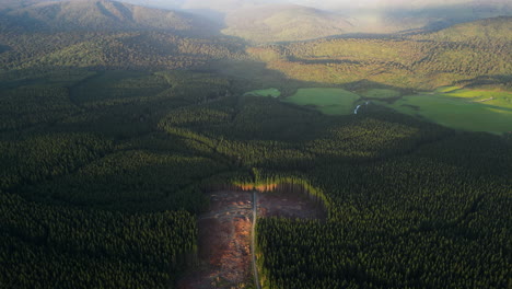 Aerial-view-of-deforestation-disaster-in-Dunsdale-Recreational-Reserve,-New-Zealand