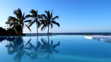Luxury-infinity-pool-with-palm-trees-reflection-and-Indian-Ocean-view