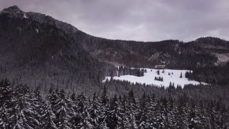 Descending-across-Kasprowy-Wierch-snowy-woodland-forest-and-Polish-snow-capped-Tatra-mountains