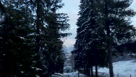 Erhebt-Sich-Zwischen-Schneebedeckten-Kuźnice-winterwaldbäumen,-Die-über-Die-Malerische-Berglandschaft-Blicken