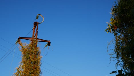 Una-Torre-De-Energía-Vieja-Y-Oxidada