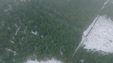 Establishing-aerial-birdseye-footage-of-trees-covered-with-light-snow,-Nordic-woodland-pine-tree-forest,-foggy-overcast-winter-day,-mist-rising,-low-clouds-moving,-wide-drone-shot-moving-forward-high