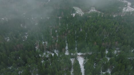 Aerial-birdseye-footage-of-trees-covered-with-light-snow,-Nordic-woodland-pine-tree-forest,-foggy-overcast-winter-day,-mist-rising,-low-clouds-moving,-wide-drone-shot-moving-forward-high