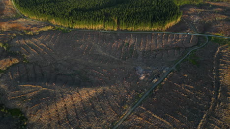 Gloomy-view-of-deforestation-area-in-New-Zealand,-aerial-drone-view